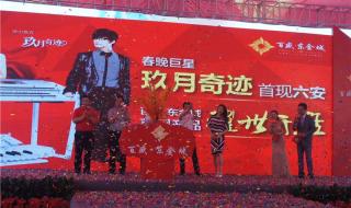 玖月奇迹用的是什么琴 玖月奇迹的琴多少钱