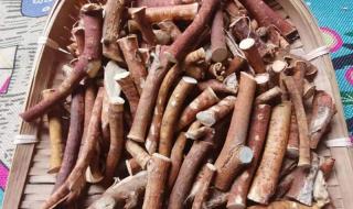 五指毛桃龙骨煲汤最佳搭配 五指毛桃煲汤配什么