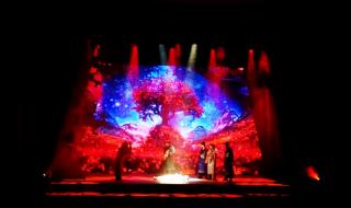 沙海张起灵身世 张起灵过去在干嘛