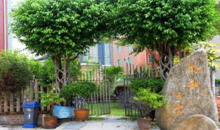 厦门同安农家乐 厦门同安农家乐