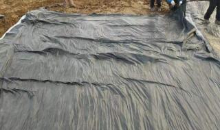 鱼池膜和防渗膜哪个好 鱼塘防渗膜生产厂家