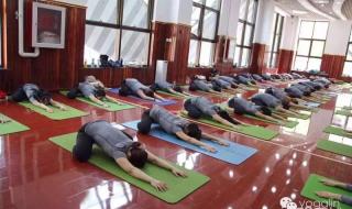 少儿瑜伽培训机构排名 悠季瑜伽培训学校