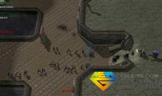 星际争霸1.08地图 星际争霸1.08地图