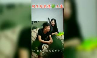 段宏楠是谁 五道口段宏楠背景