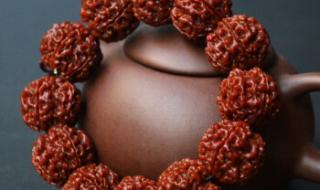 请教高手,这个5瓣金刚菩提子价钱大概是多少在线等 金刚菩提子价格参照