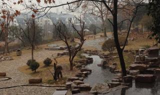 秦川丽丽汉阳树,芳草萋萋鹦鹉洲.的前半句是什么 芳草萋萋鹦鹉洲全诗