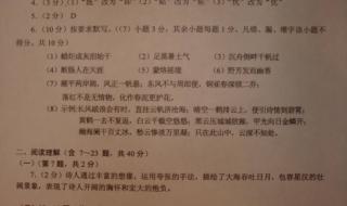 2018年宁夏《掌控中考》语文答案,急求 中考语文试题及答案