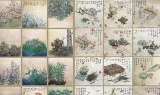 清肺排毒汤害了多少人 清肺排毒汤害了多少人