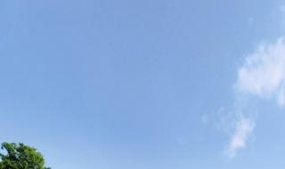 一望无边的景物是什么 美丽的草原一望无边