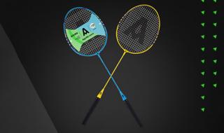 羽毛球拍有哪些品牌 国产羽毛球拍什么牌子好